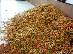 Harga Cabai Rawit Merah Meroket, KPPU Cium Permainan Bandar