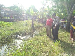 Mayat Mr X Terbungkus Karung Gegerkan Warga Indramayu