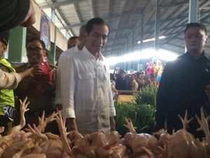 Rawit Merah Rp 100.000/Kg, Jokowi: Beli Cabai Hijau dan Merah