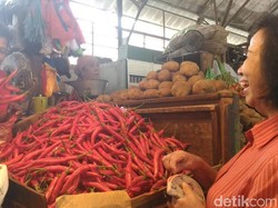 Harga Cabai Rawit Melonjak, Mentan: Dampaknya Kecil