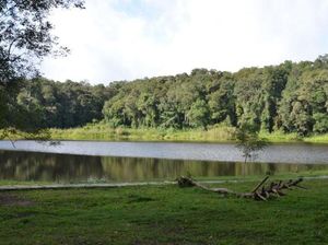 Danau Tambing, Destinasi Milenial Seru di Poso