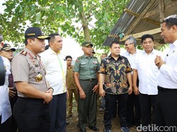 RI Swasembada Jagung 2018, Tak Ada Lagi Impor dari 3 Negara Ini