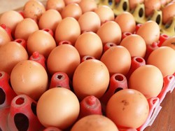 Berapa Butir Telur Sebaiknya Dikonsumsi Setiap Hari?