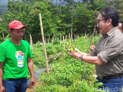 Kementan akan Pasarkan Cabai dan Bawang Lewat Toko Tani Indonesia