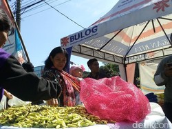 Harga Cabai Rp 85/Kg, Bulog Gelar OP di Mojokerto