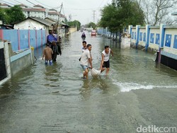 Sudah Sebulan Warga Muara Angke Dilanda Banjir Rob
