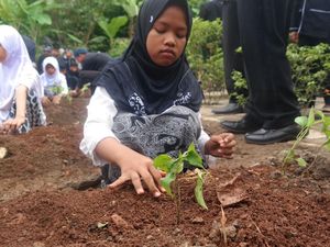 Pelajar Wajib Tanam Cabai di Sekolah dan Rumah