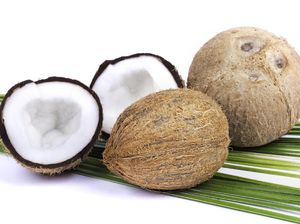 Jangan Bawa Kelapa Saat Naik Pesawat, Ini Alasannya