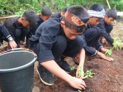 Jual Tanah di Purwakarta Harus Izin Bupati