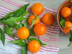 Super Nova, Rajanya Jeruk yang Manis dan Tanpa Biji