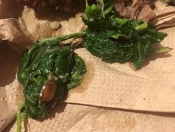 Viral, Kisah Vyna yang Gigit Kecoak saat Makan Holycow!