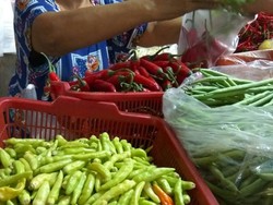 Giliran Harga Cabai Rawit Hijau Meroket dari Rp 15.000/Kg Jadi Rp 70.000/Kg