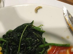 Ada Ulat di Bayam Holycow!, Ini Penjelasan Lucy Wiryono