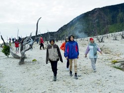 Eksotisnya Hutan Mati Gunung Papandayan