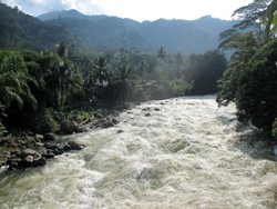 Penggemar Arung Jeram, Berani Tidak Taklukkan Sungai Asahan?