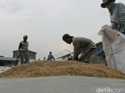 20 Titik Infrastruktur Pertanian di Pemkab Pasuruan Dibenahi