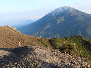 Cerita Suara Misterius di Pasar Bubrah, Pendaki Merapi Pasti Tahu Cerita Suara Misterius di Pasar Bubrah, Pendaki Merapi Pasti Tahu