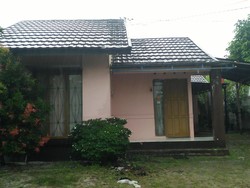 Kagetnya Warga saat Tahu Bupati Katingan Kepergok Selingkuh