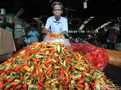 Lonjakan Harga Cabai dan Kejengkelan Mentan