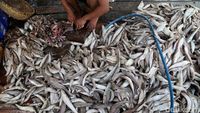 Perajin Ikan Asin Terkendala Cuaca