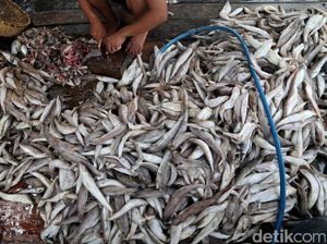 Perajin Ikan Asin Terkendala Cuaca
