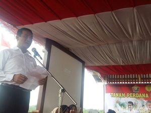 Mentan Bangga Kecepatan Ibu-ibu Tuntaskan Masalah Cabai