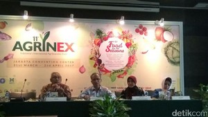Cara Menyejukkan Ruangan Selain Pakai AC dan Kipas Angin Cara Menyejukkan Ruangan Selain Pakai AC dan Kipas Angin