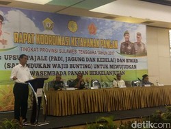 Kapan RI Bisa Jadi Lumbung Pangan Dunia? Ini Kata Mentan