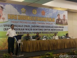 Cerita Mentan Soal Beras Hingga Cabai dari Singapura Masuk RI
