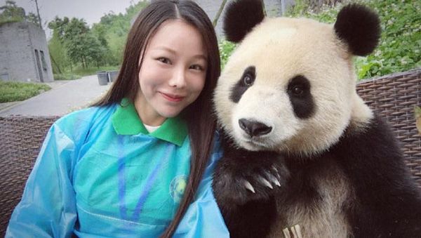 Aksi Gemas Seekor Panda Berfoto Selfie