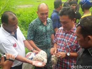 Polisi Temukan Ratusan Bungkus Ganja di Kampung Narkoba di Medan