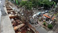 Tanaman Hias di Jembatan Flyover Kalibata Tidak Terawat