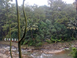 Liburan ke Cimory Weekend Ini, Bikin Fresh dan Perut Kenyang