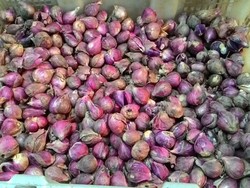 Brebes Banjir, Awas Harga Bawang Merah Naik