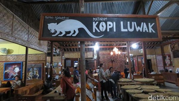 Liburan ke Yogya, Jangan Lupa Icip Sedapnya Kopi Luwak