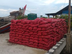 Bea-Cukai Tangkap Kapal Asing Penyelundup 7,5 Ton Bawang Merah