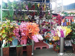 Promo Perabotan Luar Ruangan dari Transmart dan Carrefour