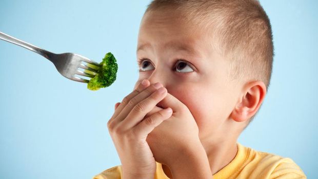 4 Penyebab Anak Suka Pilih-pilih Makanan/