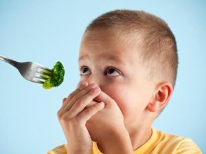 Picky Eater pada Anak: Penyebab dan Strategi Mengatasinya Picky Eater pada Anak: Penyebab dan Strategi Mengatasinya