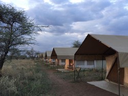 Penginapan Unik di Afrika, Tidur Mengikuti Migrasi Satwa