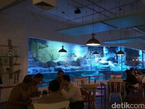 Di Sini, Anda Bisa Memasak Daging Sendiri Hingga Makan Bersama Penguin Lucu!