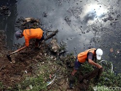 Dadan: Teman Pasukan Oranye Lain Juga Sering Selami Got Jakarta