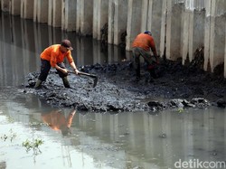 Penjelasan Kadinsih soal Pasukan Oranye Nyelam di Got Hitam