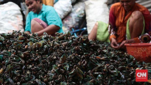 Reklamasi Jakarta, Mega Proyek yang Sulit Dibendung