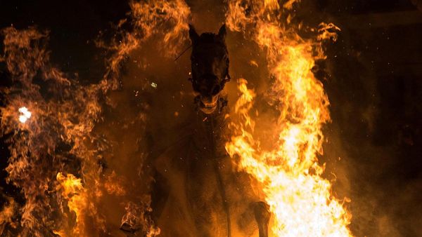 Festival Berkuda Menembus Kobaran Api