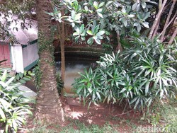 Terlihat Angker, Warga Sempat Ngeri Datang ke Sumur 7 Beji Depok