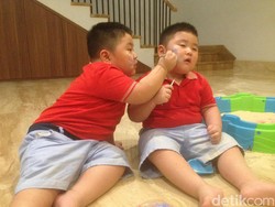 Gemasnya Melihat Tingkah Lucu si Kembar Kenneth dan Kenzo
