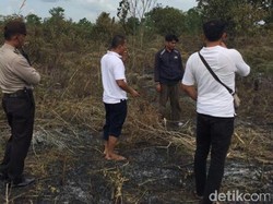 Buang Rokok Sembarangan, Robby Diduga Bakar Lahan 3 Ribu Meter