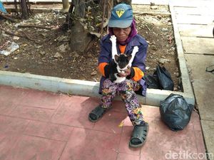 Cerita Nenek Tinah Eks Pasukan Oranye Luntang-lantung di Senayan