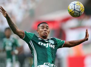 Gabriel Jesus Diyakini Akan Berkembang Lebih Cepat di City